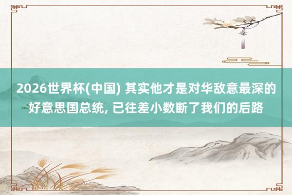 2026世界杯(中国) 其实他才是对华敌意最深的好意思国总统， 已往差小数断了我们的后路