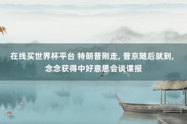 在线买世界杯平台 特朗普刚走， 普京随后就到， 念念获得中好意思会谈谍报