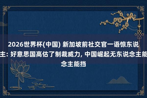 2026世界杯(中国) 新加坡前社交官一语惊东说念主: 好意思国高估了制裁威力， 中国崛起无东说念主能挡