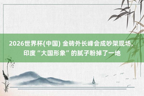 2026世界杯(中国) 金砖外长峰会成吵架现场， 印度“大国形象”的腻子粉掉了一地