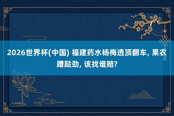 2026世界杯(中国) 福建药水杨梅透顶翻车， 果农蹧跶劲， 该找谁赔?