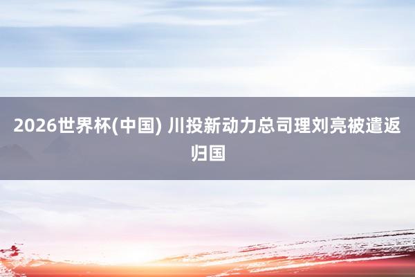 2026世界杯(中国) 川投新动力总司理刘亮被遣返归国