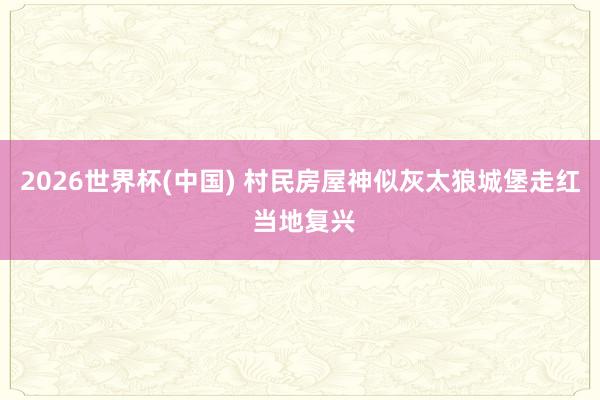 2026世界杯(中国) 村民房屋神似灰太狼城堡走红 当地复兴