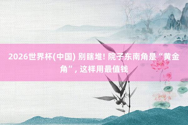 2026世界杯(中国) 别瞎堆! 院子东南角是“黄金角”， 这样用最值钱