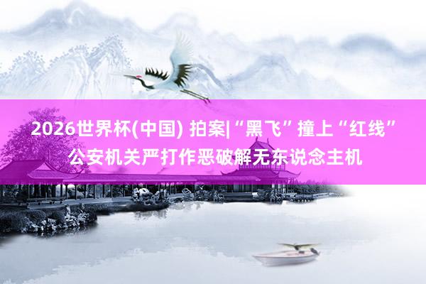 2026世界杯(中国) 拍案|“黑飞”撞上“红线” 公安机关严打作恶破解无东说念主机