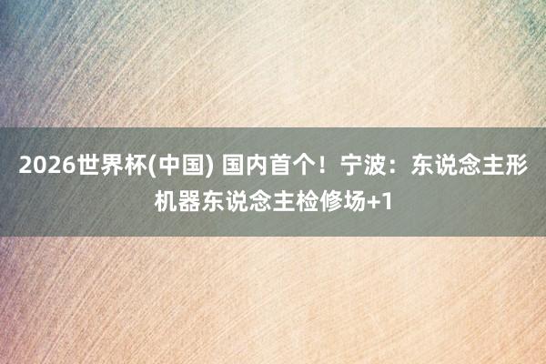 2026世界杯(中国) 国内首个！宁波：东说念主形机器东说念主检修场+1