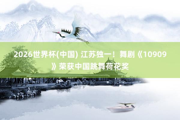 2026世界杯(中国) 江苏独一！舞剧《10909》荣获中国跳舞荷花奖