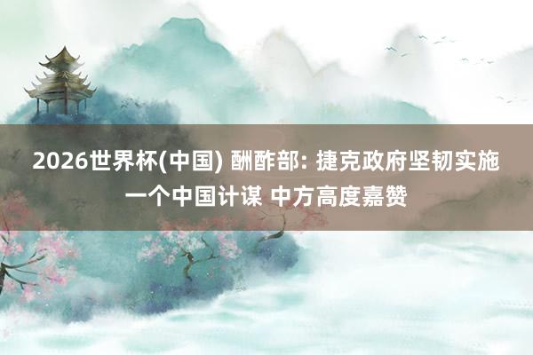2026世界杯(中国) 酬酢部: 捷克政府坚韧实施一个中国计谋 中方高度嘉赞