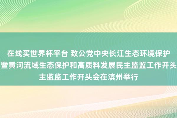 在线买世界杯平台 致公党中央长江生态环境保护民主监督回想暨黄河流域生态保护和高质料发展民主监监工作开头会在滨州举行