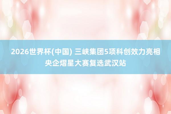 2026世界杯(中国) 三峡集团5项科创效力亮相央企熠星大赛复选武汉站