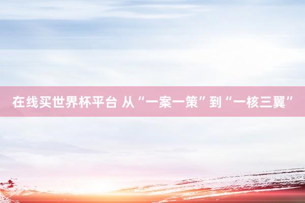 在线买世界杯平台 从“一案一策”到“一核三翼”