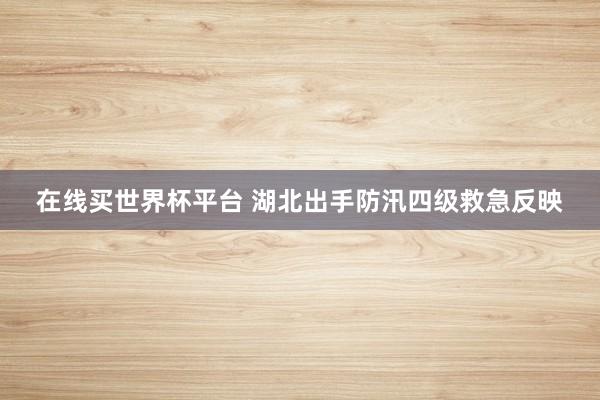 在线买世界杯平台 湖北出手防汛四级救急反映