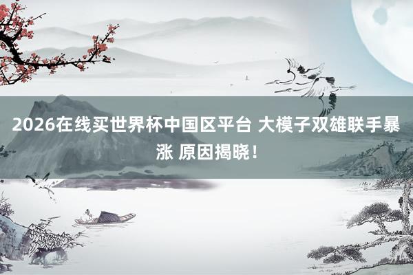 2026在线买世界杯中国区平台 大模子双雄联手暴涨 原因揭晓！
