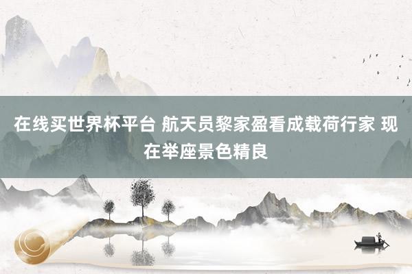 在线买世界杯平台 航天员黎家盈看成载荷行家 现在举座景色精良