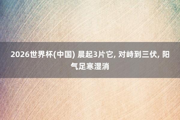 2026世界杯(中国) 晨起3片它， 对峙到三伏， 阳气足寒湿消