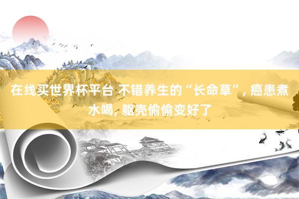 在线买世界杯平台 不错养生的“长命草”， 癌患煮水喝， 躯壳偷偷变好了