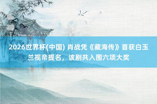 2026世界杯(中国) 肖战凭《藏海传》首获白玉兰视帝提名，该剧共入围六项大奖