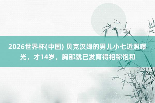 2026世界杯(中国) 贝克汉姆的男儿小七近照曝光，才14岁，胸部就已发育得相称饱和