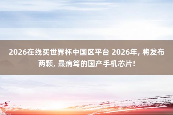 2026在线买世界杯中国区平台 2026年, 将发布两颗, 最病笃的国产手机芯片