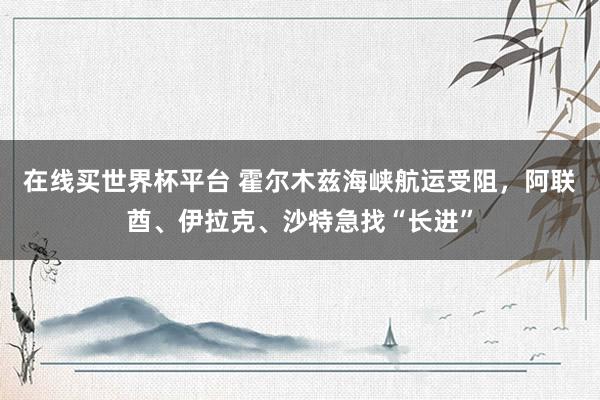 在线买世界杯平台 霍尔木兹海峡航运受阻,阿联酋、伊拉克、沙特急找“长进”