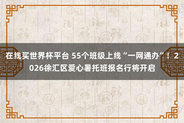 在线买世界杯平台 55个班级上线“一网通办”!2026徐汇区爱心暑托班报名行将开启