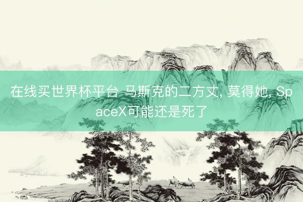 在线买世界杯平台 马斯克的二方丈， 莫得她， SpaceX可能还是死了