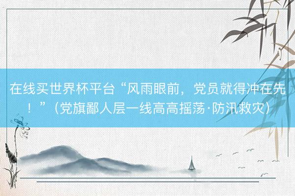 在线买世界杯平台 “风雨眼前，党员就得冲在先！”（党旗鄙人层一线高高摇荡·防汛救灾）