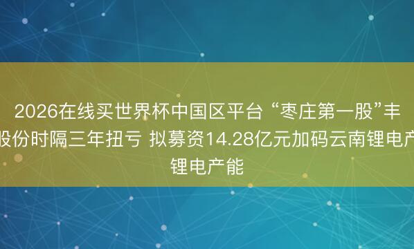 2026在线买世界杯中国区平台 “枣庄第一股”丰元股份时隔三年扭亏 拟募资14.28亿元加码云南锂电产能