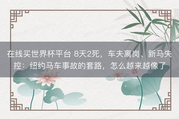 在线买世界杯平台 8天2死,车夫离岗、新马失控:纽约马车事故的套路,怎么越来越像了